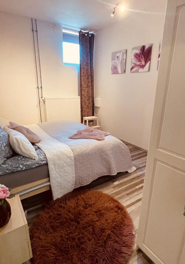 Ferienwohnung Marina An Der Romantischen Strasse فايكرزهايم المظهر الخارجي الصورة